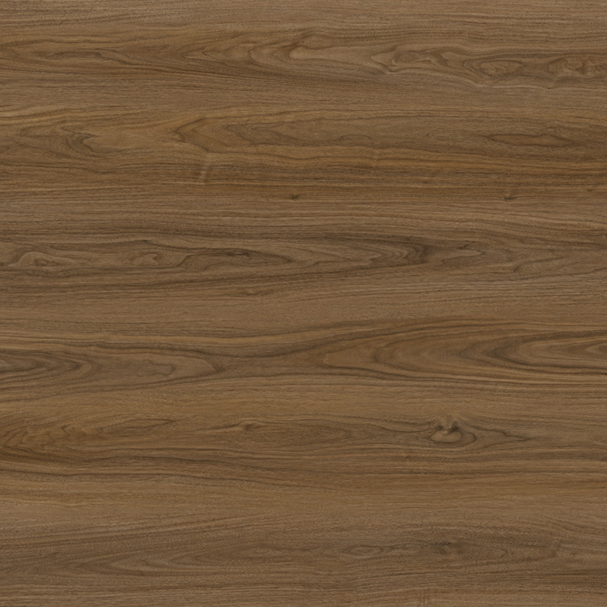 Toucan Laminate - TF6602-F - TF 6602 Santas Rosa