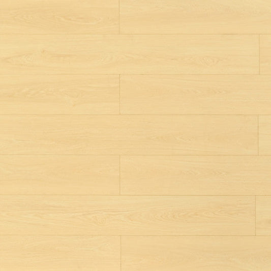 Toucan Laminate Pad Attached - TF8104 - TF 8104 Dune