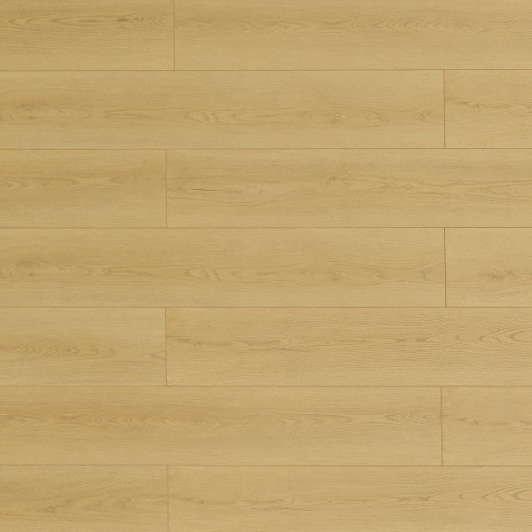 Toucan Laminate Pad Attached - TF8107 - TF 8107 Muscatine