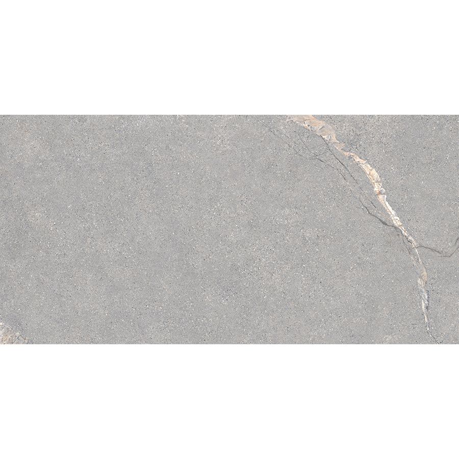 Anthology | Grey 12"x 24"