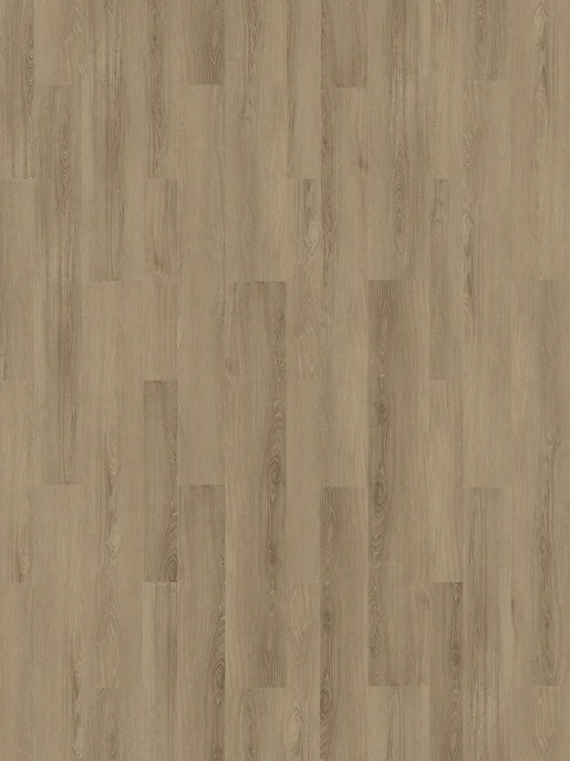 Harbinger SPC Vinyl - Alexandria - D & R Flooring