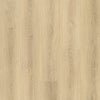 Home's Pro Vancouver Vinyl SPC - Kitsilano 8804 - D & R Flooring