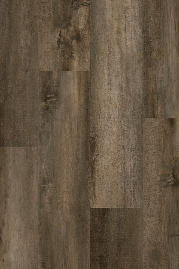 Moscow Vinyl SPC - Shalom 775 - D & R Flooring
