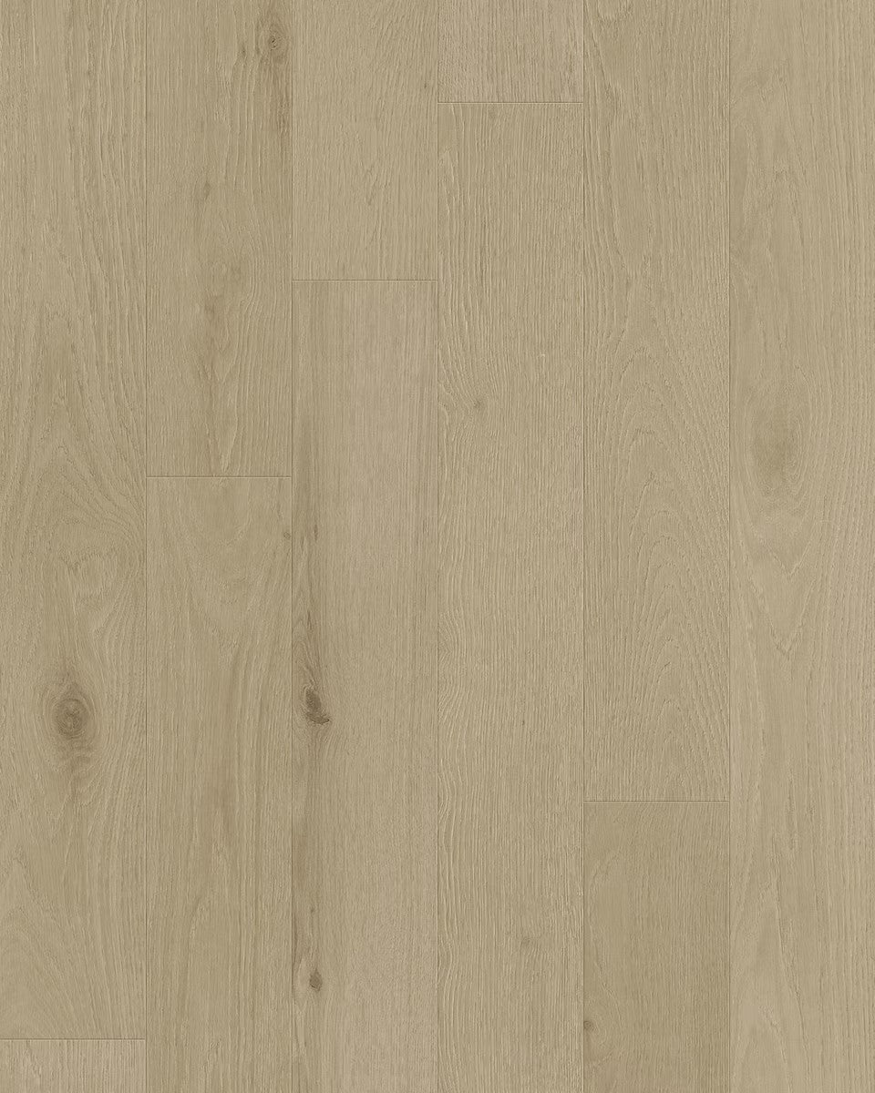 Toucan 3/4" Engineered Hardwood TCN 101 - Oyster TCN101 - D & R Flooring