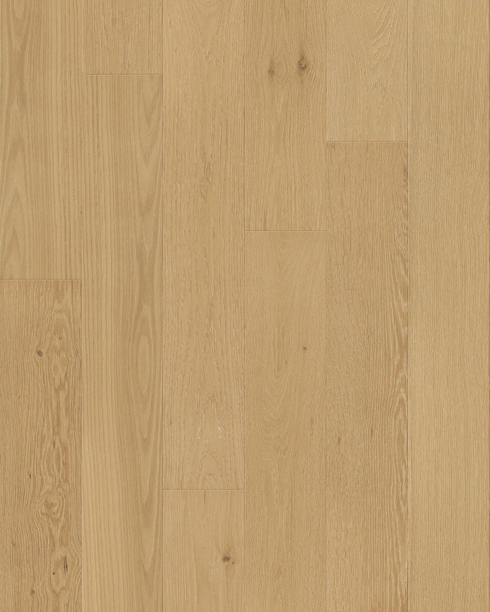 Toucan 3/4" Engineered Hardwood TCN 102 - Tusk TCN102 - D & R Flooring