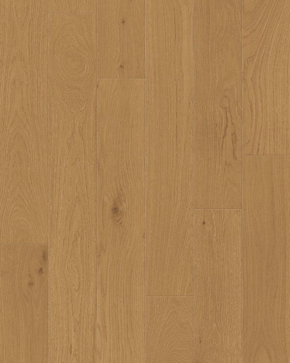 Toucan 3/4" Engineered Hardwood TCN 104 - Woodland TCN104 - D & R Flooring