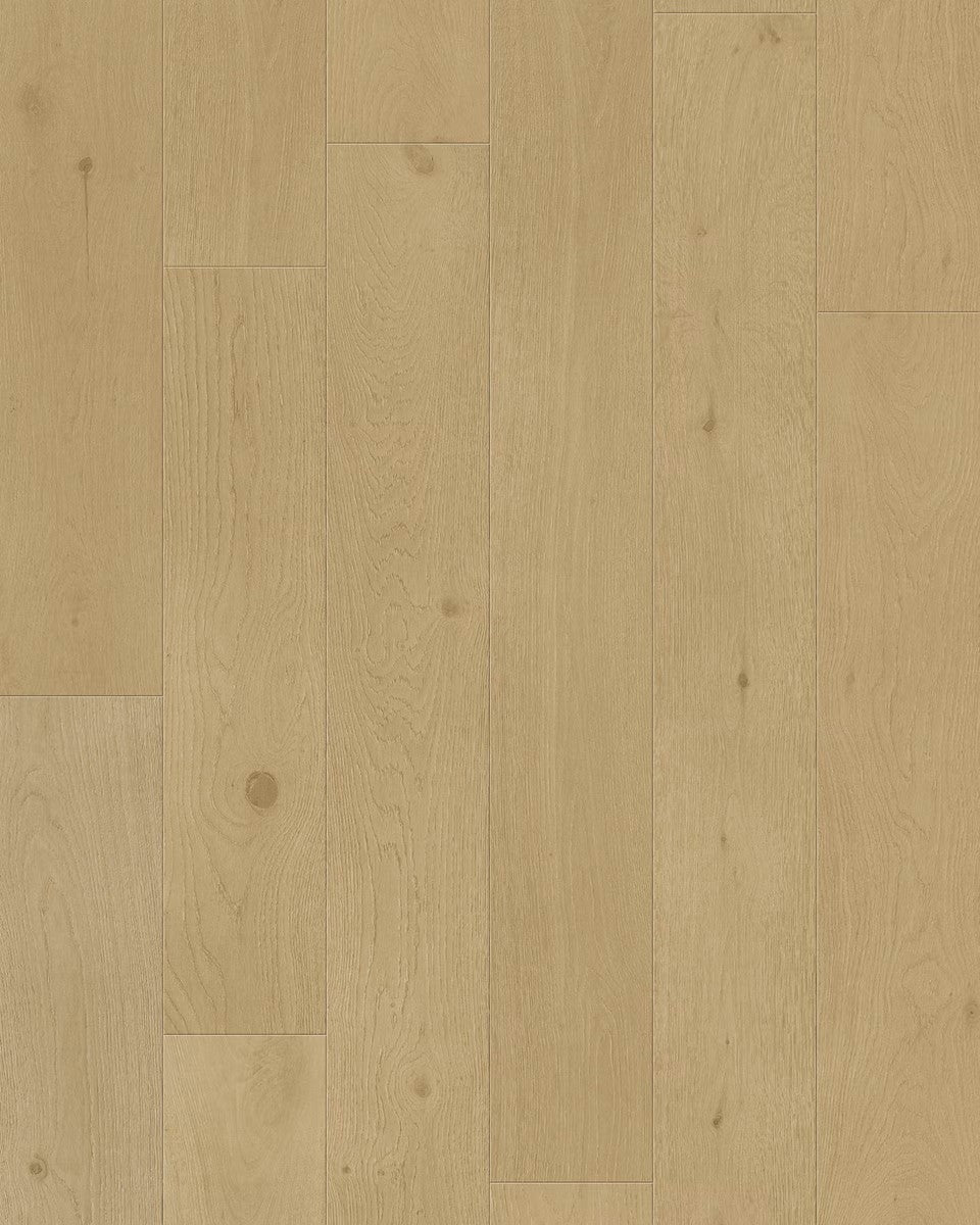 Toucan 3/4" Engineered Hardwood TCN 201 - Silk TCN201 - D & R Flooring