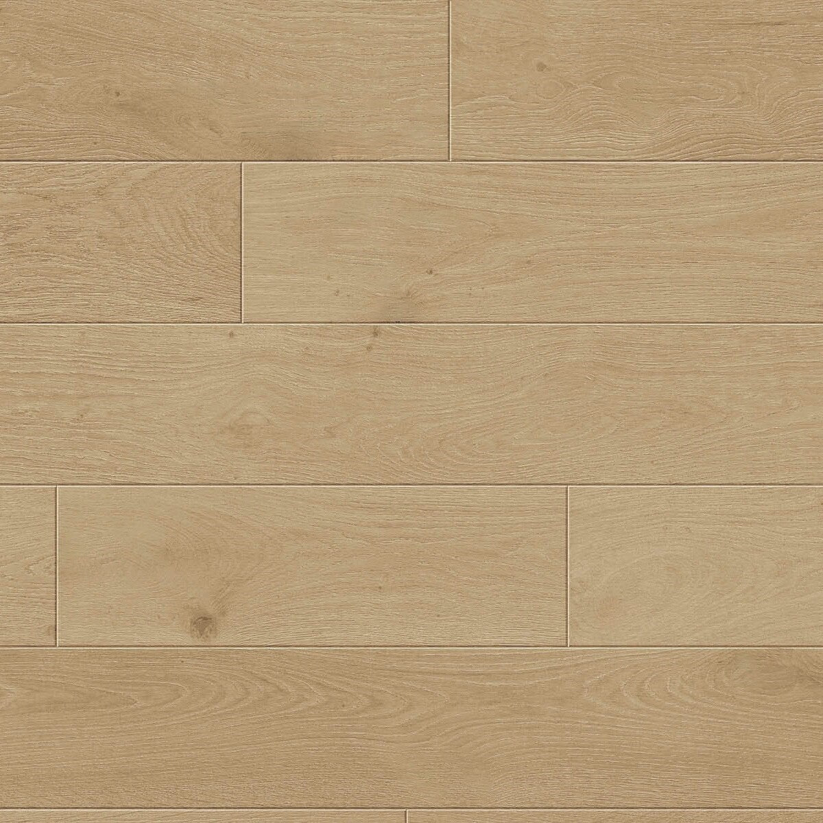 Toucan 3/4" Engineered Hardwood TCN 202 - Shell TCN202 - D & R Flooring