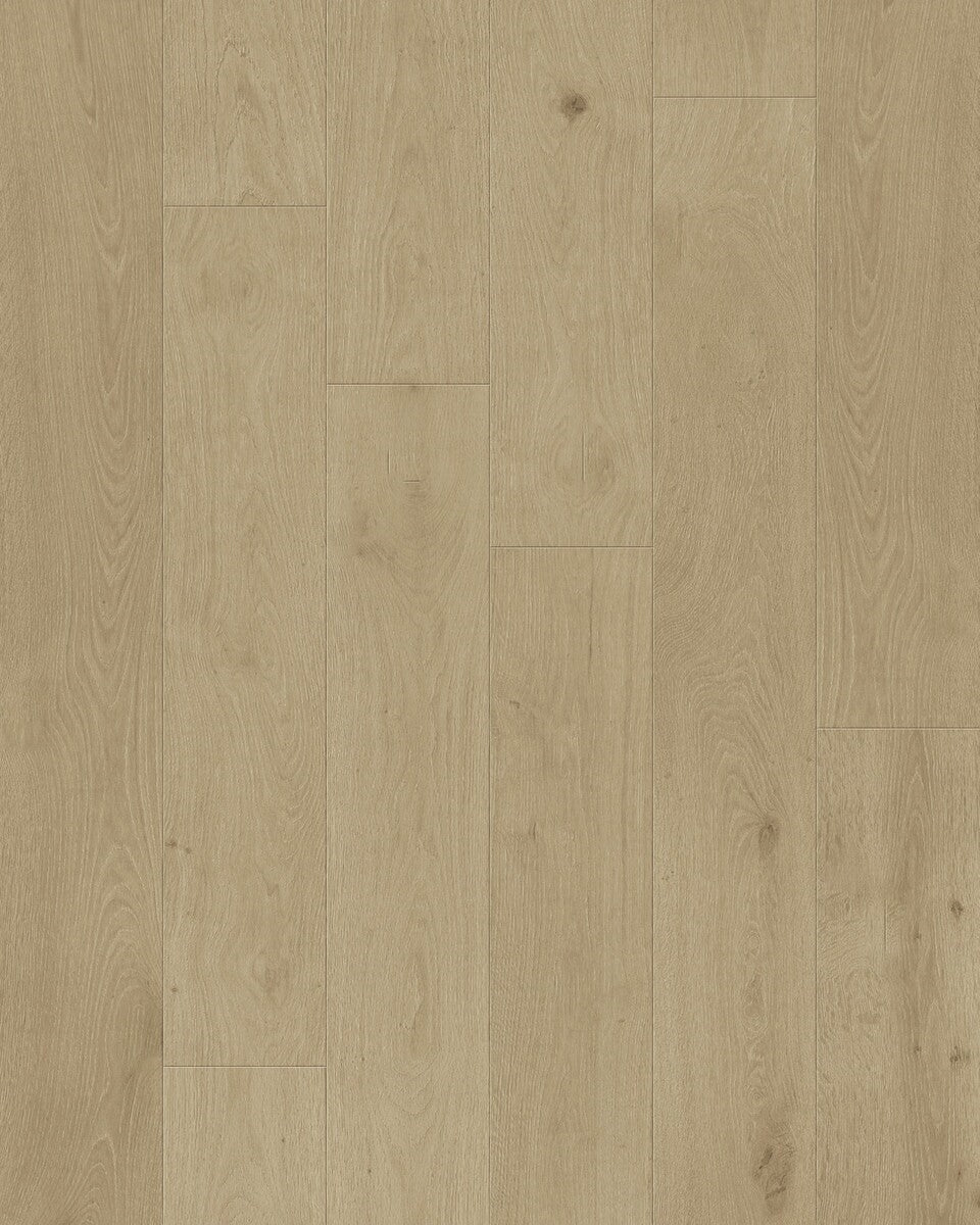 Toucan 3/4" Engineered Hardwood TCN 202 - Shell TCN202 - D & R Flooring