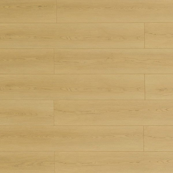 Toucan Laminate Pad Attached - TF8107 - TF 8107 Muscatine - D & R Flooring