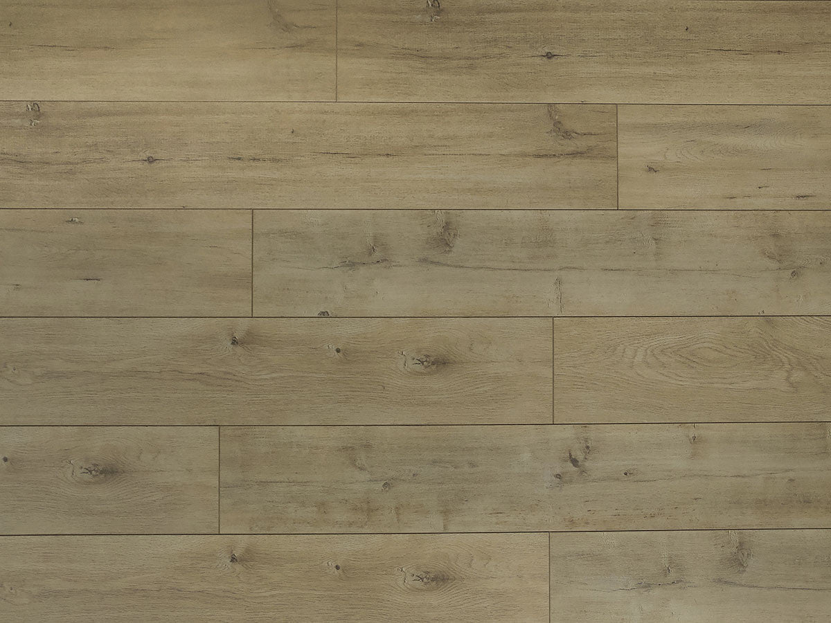 Toucan Laminate - TF6301 - F - TF 6301 - D & R Flooring