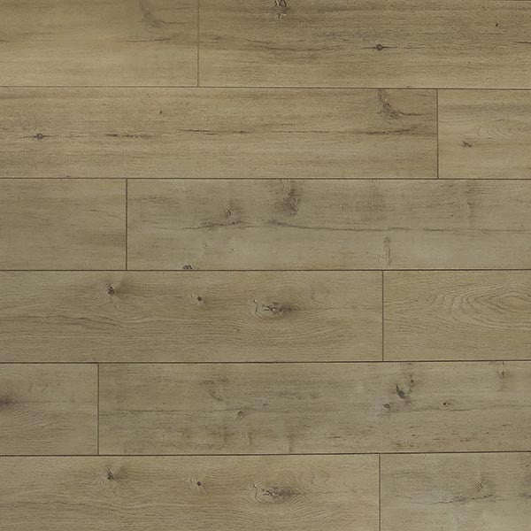 Toucan Laminate - TF6301 - F - TF 6301 - D & R Flooring