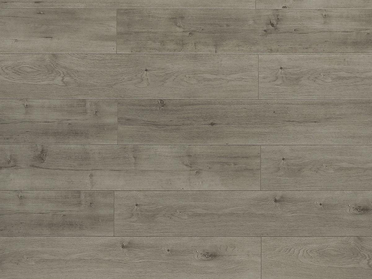 Toucan Laminate - TF6303 - F - TF 6303 - D & R Flooring