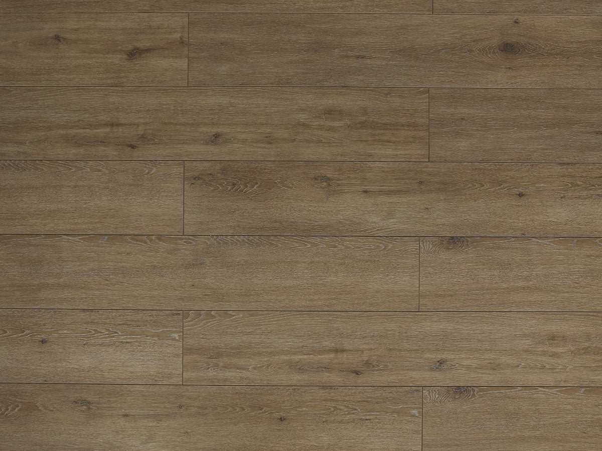 Toucan Laminate - TF6312 - F - TF 6312 - D & R Flooring