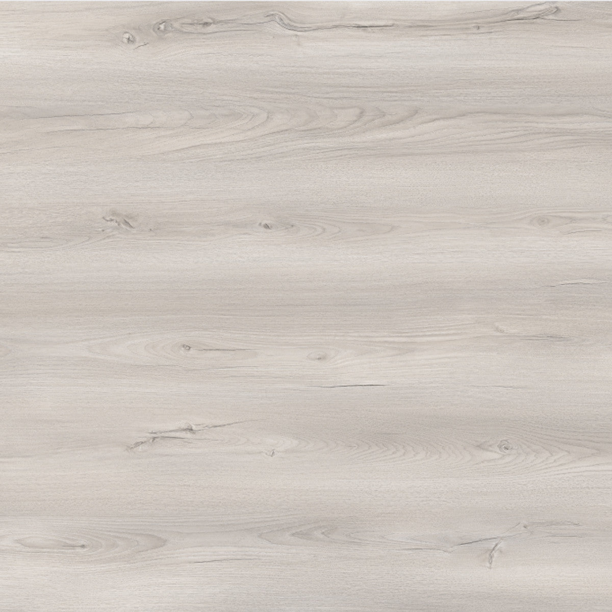 Toucan Laminate - TF6608 - F - TF 6608 Silver City - D & R Flooring