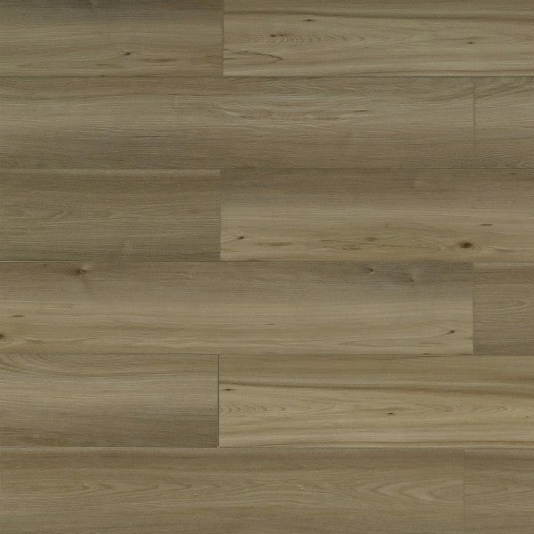 Toucan Vinyl SPC - TFSPC 607 - F - TFSPC607 Lion - D & R Flooring
