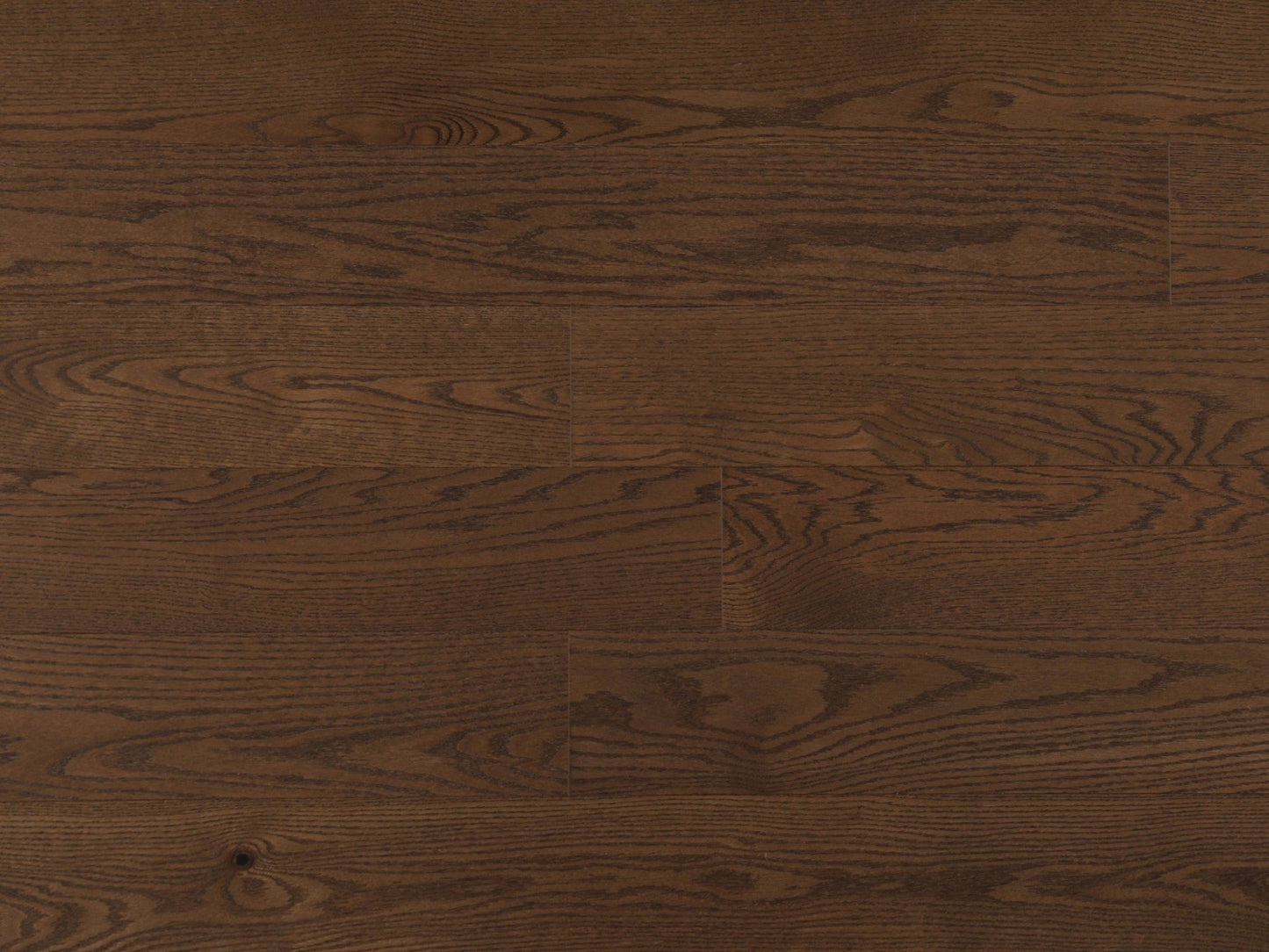 Vidar 6 Collection 3/4" Engineered Hardwood - American Oak Camel - D & R Flooring