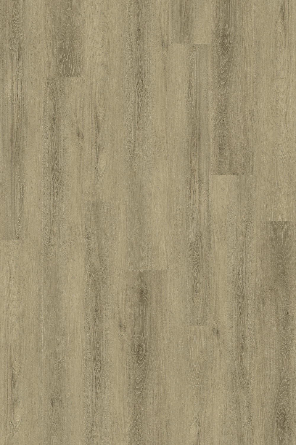 Harbinger SPC Cork-D&R Flooring