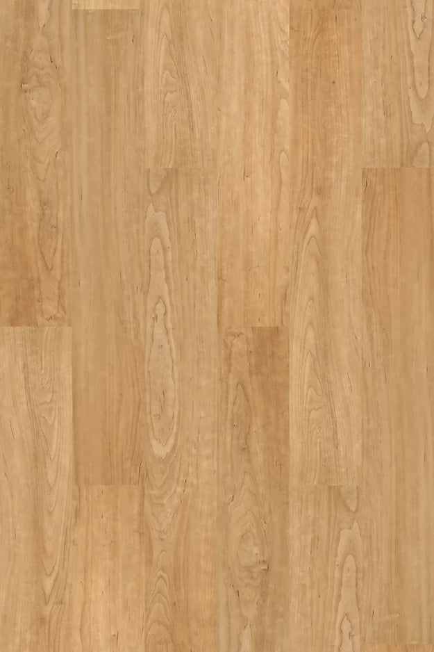 Harbinger-Contract Vinyl-D&R Flooring & Renovations