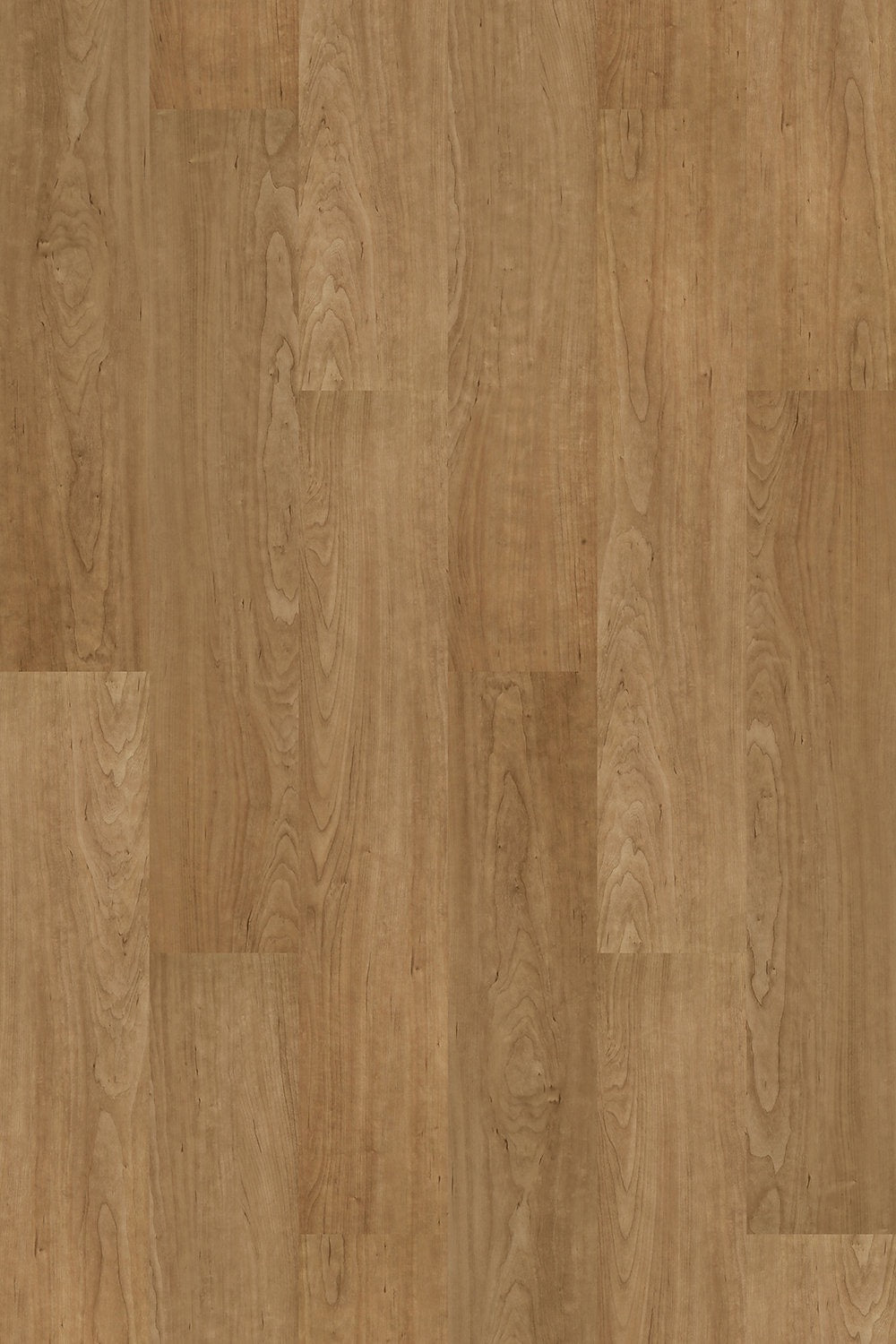 Harbinger SPC Cork-D&R Flooring