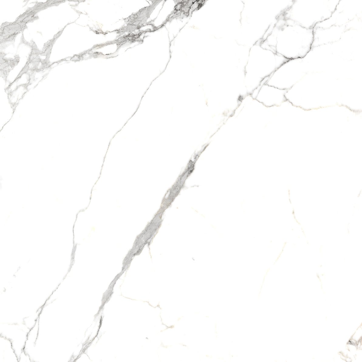 Ceramic Tile - staurio white Polish 24x24 - D & R Flooring