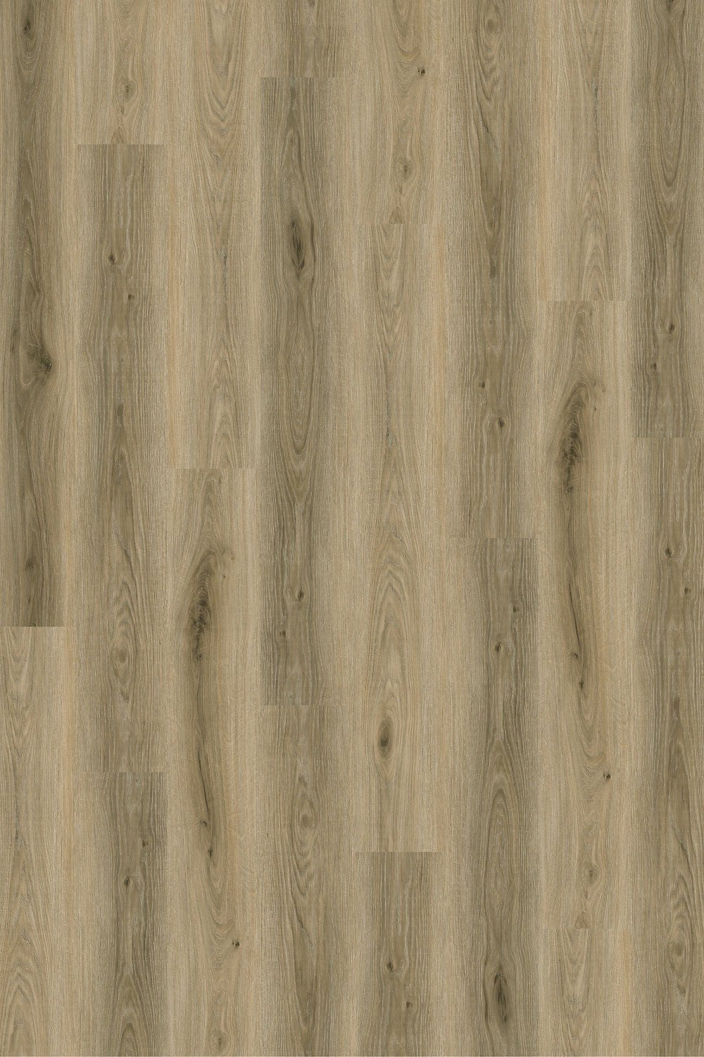Harbinger Artisan Vinyl SPC - Serenity - D & R Flooring