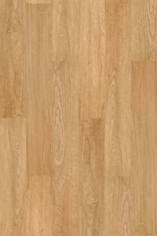 Harbinger Contract Vinyl - Bonsai Maple HVP 22077T - D & R Flooring