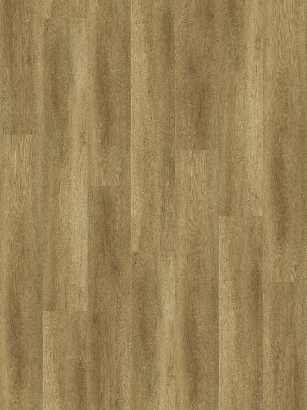 Harbinger SPC Vinyl - Churchill 9" - D & R Flooring