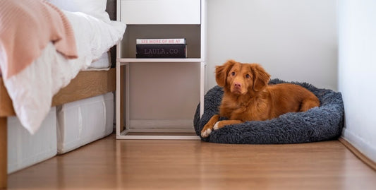 How to: Clean Your Laminate Floorings