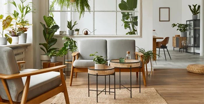 Vinyl Plank Flooring: Pros and Cons explained - D & R Flooring