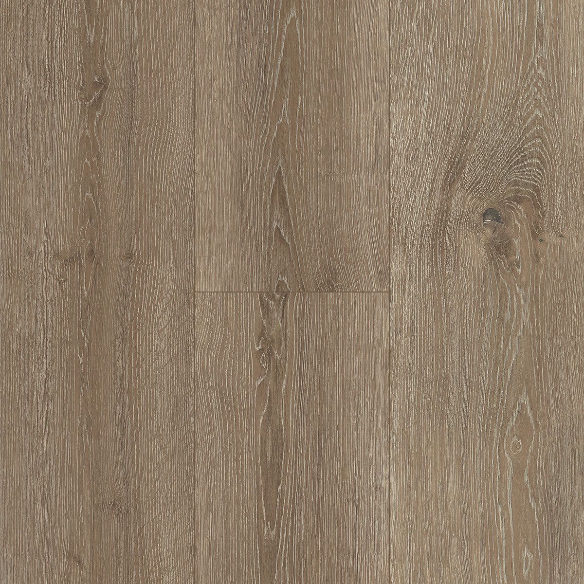Inhaus Ceramin Gallery German Flooring - Parkside #63352