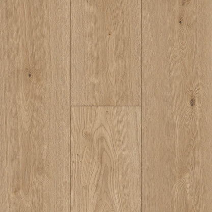 Inhaus Ceramin Gallery German Flooring - Glenbrook #63354
