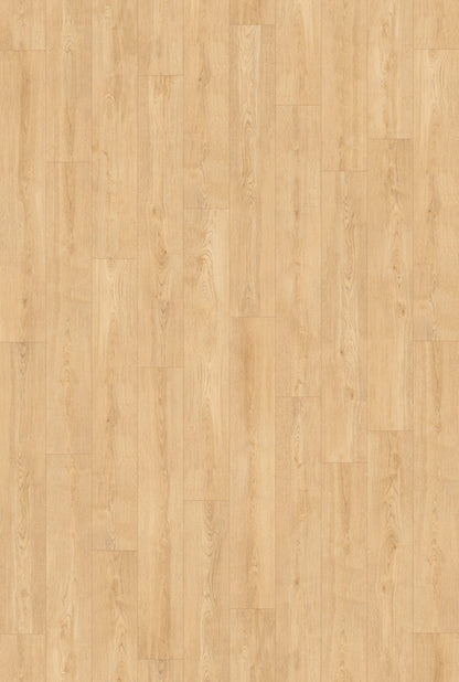 Inhaus Ceramin Gallery German Flooring - Norgate #63358
