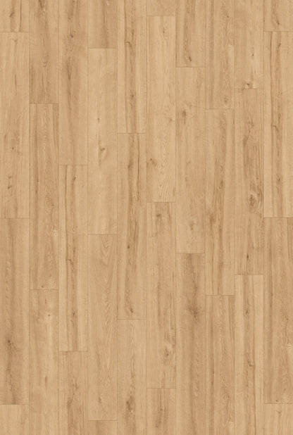 Inhaus Ceramin Gallery German Flooring - Northlands #63359