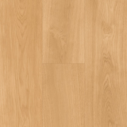Inhaus Ceramin Gallery German Flooring - Seaforth #63361