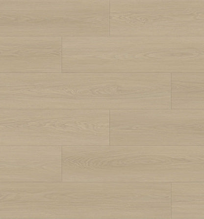 CYRUS FLOORS Eco Floor Laminate - Allure EF010