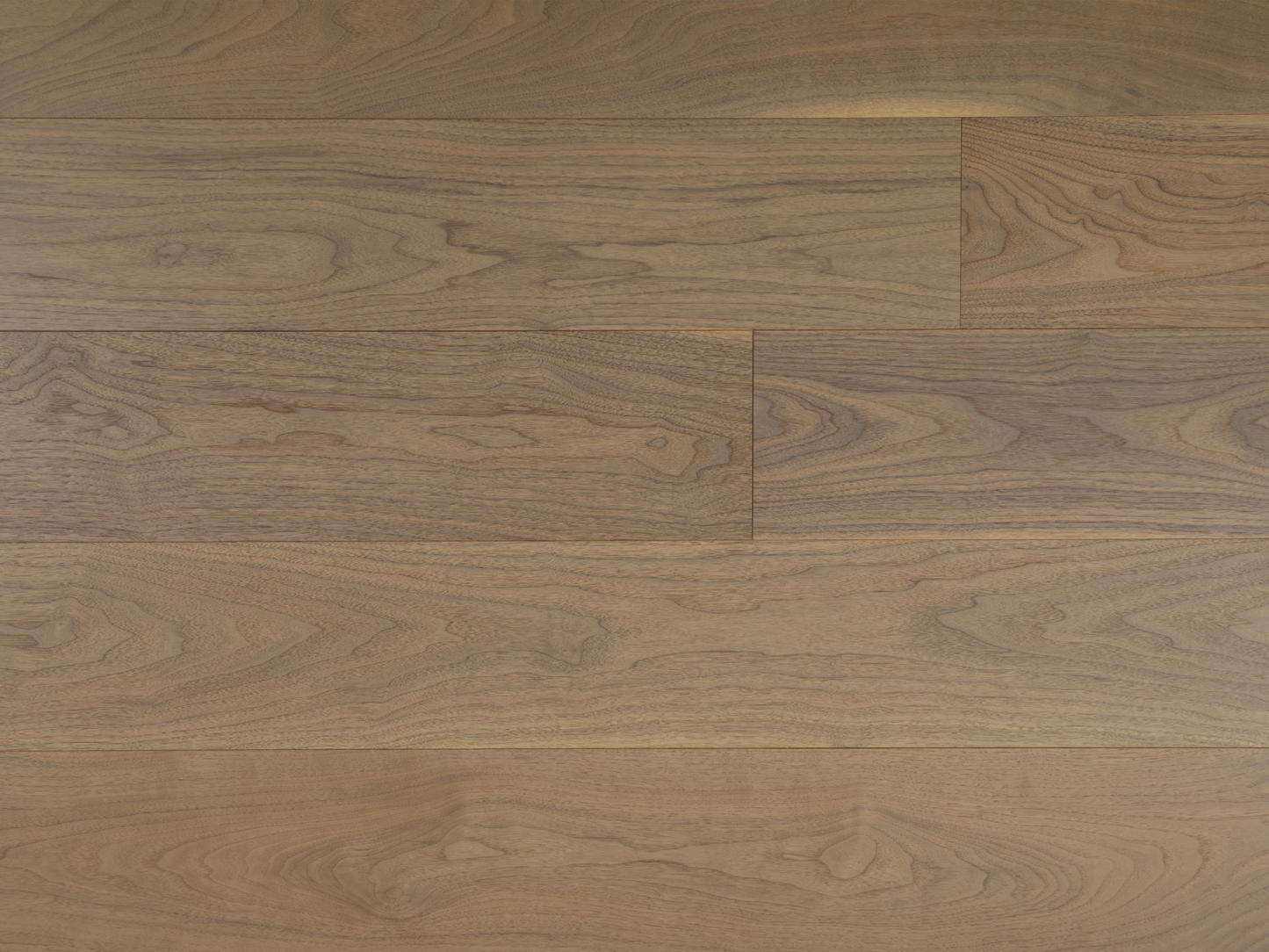 Vidar 7 Collection 3/4" Engineered Hardwood - American Black Walnut - Provence