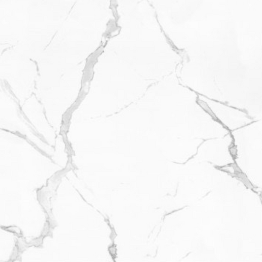 Ceramic Tile - Carrara 260PA Matte 24x24