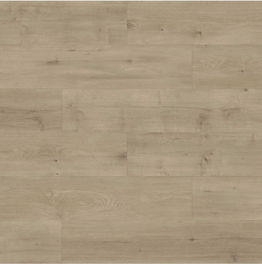 CYRUS FLOORS Eco Floor Laminate - Canyon EF009