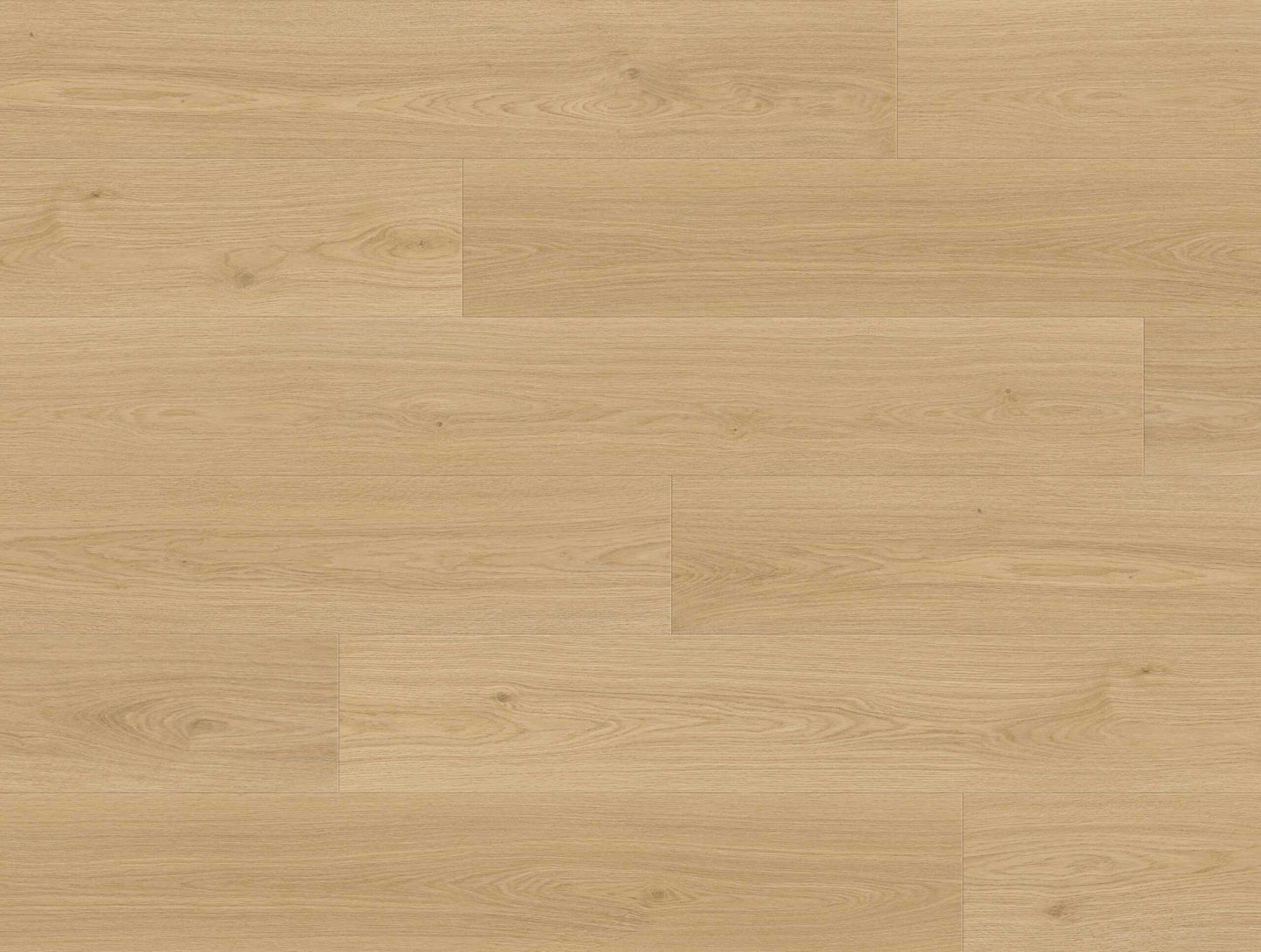 CYRUS FLOORS Eco Floor Laminate - Cashmere EF014