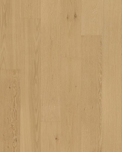 Toucan 3/4" Engineered Hardwood TCN 102 - Tusk TCN102