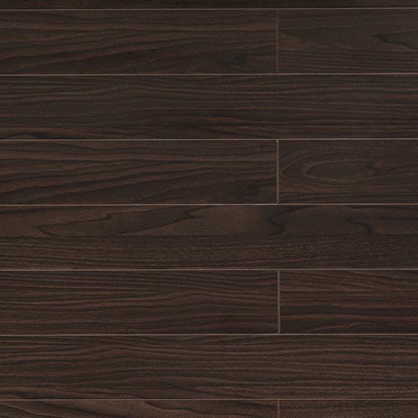 Toucan Laminate 5" - TF1101-F - TF 1101