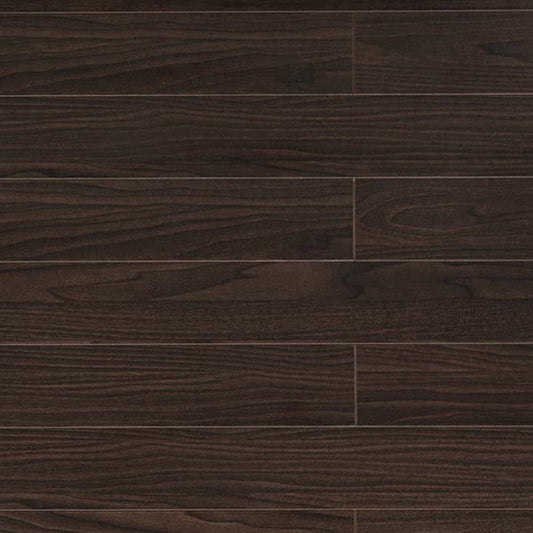 Toucan Laminate 5" - TF1101-F