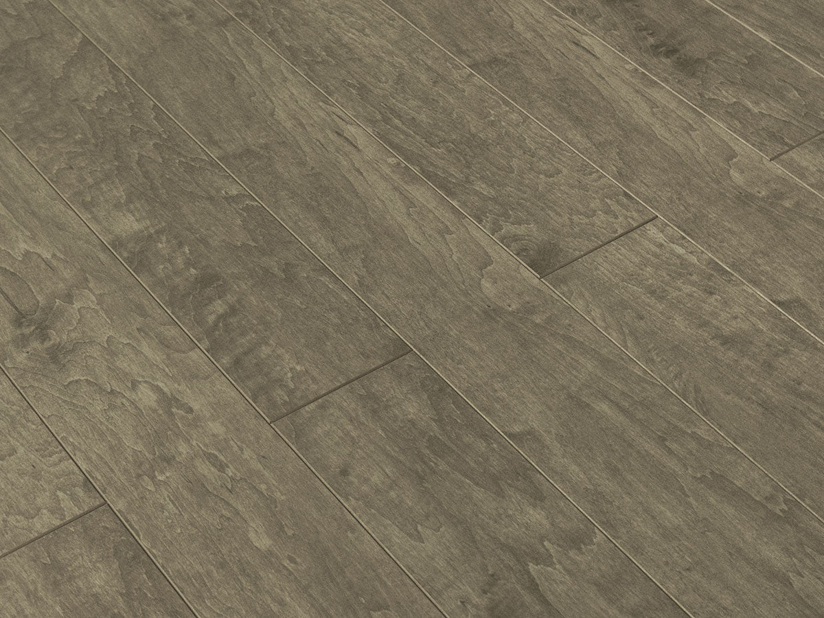 Toucan Laminate 5" - TF1112-F