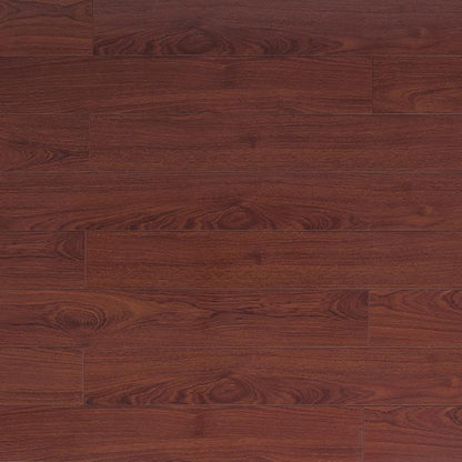 Toucan Laminate 5"  Glossy - TF2204-F