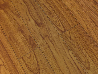 Toucan Laminate 5"  Glossy - TF2212-F