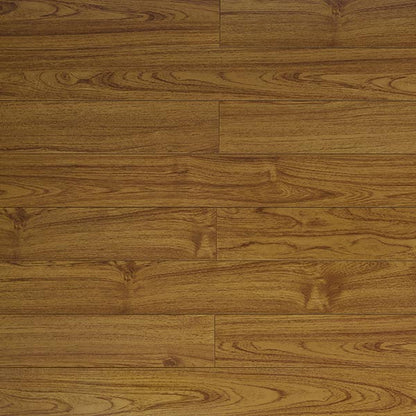 Toucan Laminate 5"  Glossy - TF2212-F