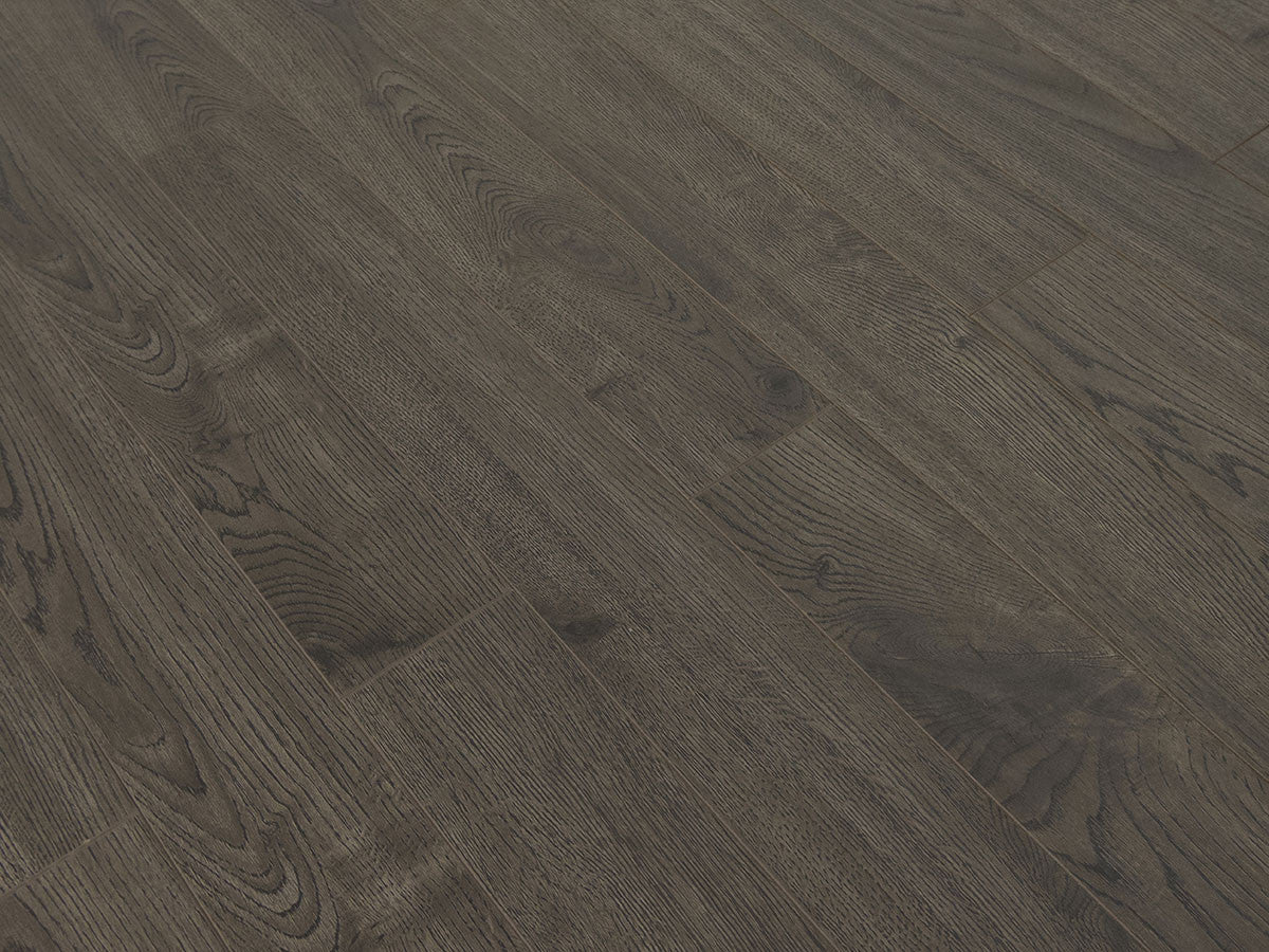 Toucan Laminate 5" - TF3104-F