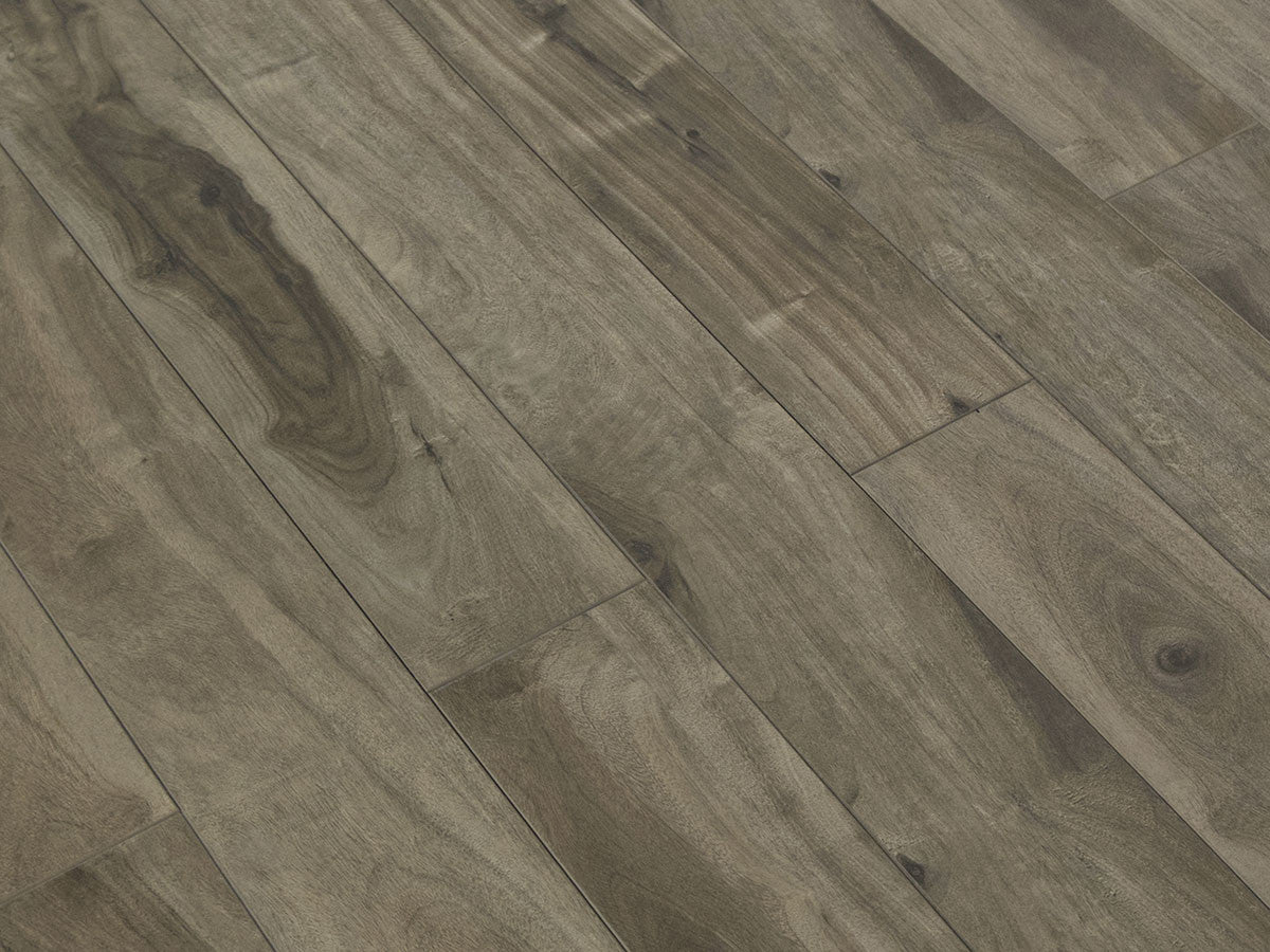 Toucan Laminate 5" - TF3105-F