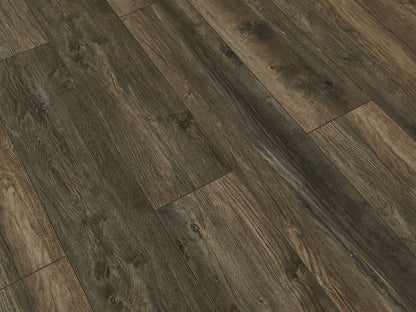 Toucan Laminate - TF6002-F - TF 6002